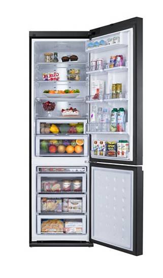 (image for) Samsung RL55TT(E2C1/XSH) 328-Litre 2-Door Refrigerator