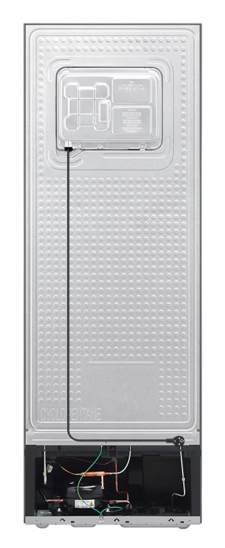 (image for) Samsung RT31CG5420S9 301-Litre 2-Door Refrigerator (Silver)